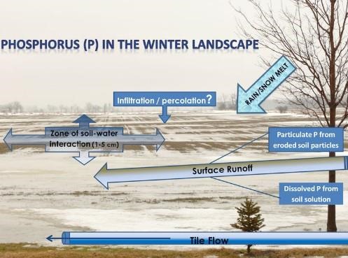 Manure, Phosphorus and the Winter Landscape